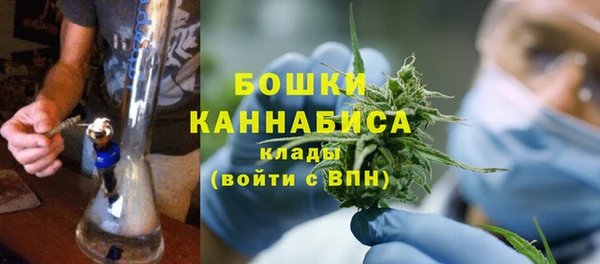 сатива Медвежьегорск