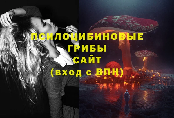 сатива Медвежьегорск
