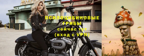 сатива Медвежьегорск