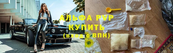 сатива Медвежьегорск