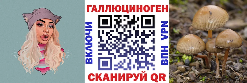 Галлюциногенные грибы MAGIC MUSHROOMS  Купить закладки  Оренбург 